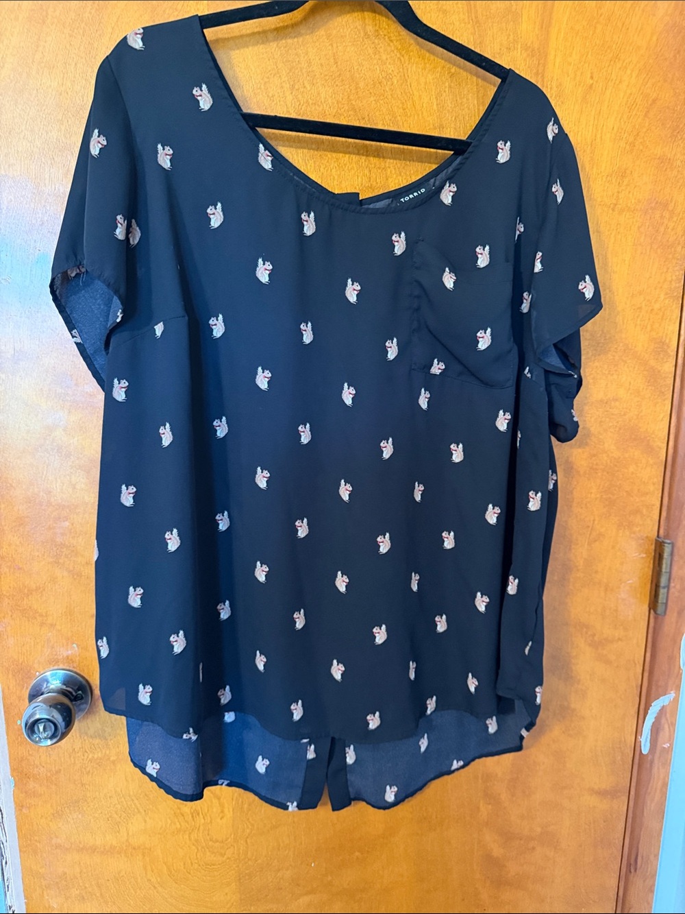 torrid Black Short-Sleeve Scoop Neck Squirrel w/bow tie Print